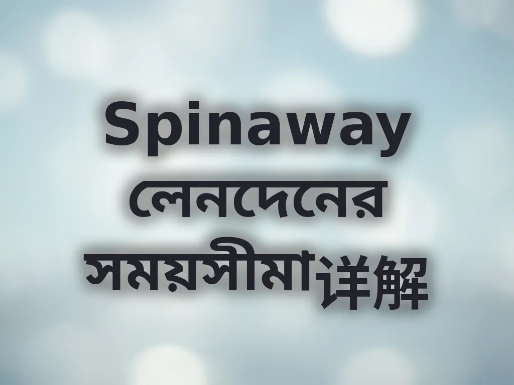 লেনদেন সময়সীমা